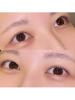 エルレ(ELRe)/根元から立ち上げ☆