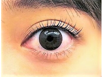 ディーエル ビューティー 府中店(DL BEAUTY)/42.*まつ毛カール*