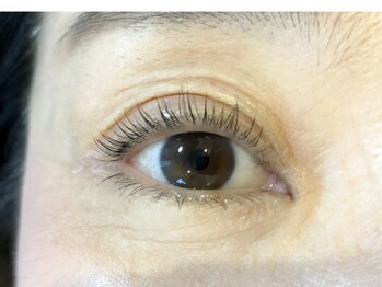 リーフ(eyelash Reef)/パリジェンヌラッシュリフト