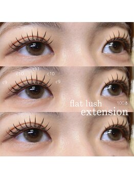 ウシワカマルエムティードット(USHIWAKAMARU MT.)/フラットラッシュ★100本