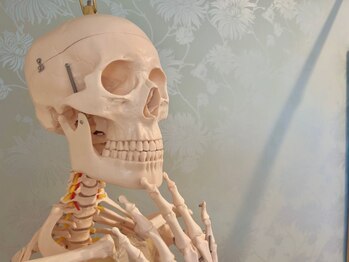 ラーナビコツ(RANA-bikotsu)/メニューでお悩みの方は