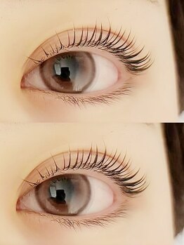 アイラッシュプラン 天王寺駅前店(eyelash plan)/韓国パーマ