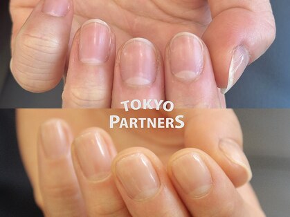 トーキョーパートナーズ(TOKYO PARTNERS)の写真