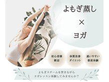 シープラス(CY PLUS)