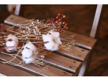 コットン ツリー(Cotton tree)/ご自分のぺ－スでお体ケア☆