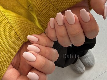 ダリア(Dahlia)/パステルワンカラー