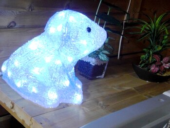 自然派カイロ整体院/光るくまさん