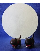 月猫 山本 亜弓
