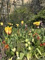 アリエス 上野&nbsp;道端に咲いてる花もふと目に入るとほっこり＾＾