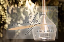 アミティ プラス(amity plus)
