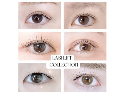 レ プリューム(les plumes)の写真