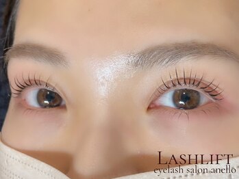 アネロ(anello)/ラッシュリフト上下