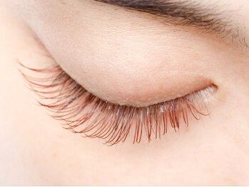 ディーエル ビューティー 大宮店(DL BEAUTY)/カラーエクステイメージ（閉じ）