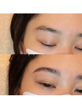 トランク(TRUNK)/