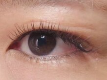 ウルカ アイラッシュ(uruka EYELASH)/ブラウンフラットラッシュ 120本