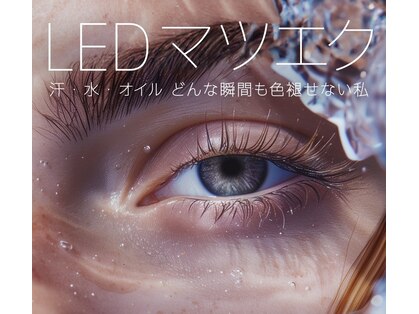フォーカス(FOCUS)の写真