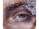 フォーカス(FOCUS)の写真