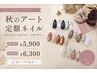 【秋の定額ネイル】≪大人シンプルな定額デザイン≫¥6300