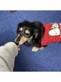 アイラッシュサロン ブラン 岐阜シティタワー43店(Blanc) 飼っている犬です♪休日はよく犬を連れてドライブに行きます☆