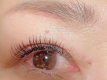 サロン アキ(Salon Aki)/マツエク　　フラットラッシュ