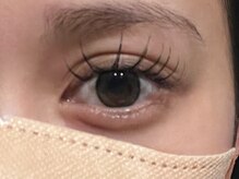 フリー#240(Free#240)/ラッシュリフトカール120本