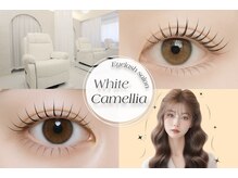 ホワイトカメリア(White Camellia)