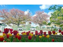 himawari ネイルの雰囲気(家の周りはとてもきれいなお花が咲いてます♪)