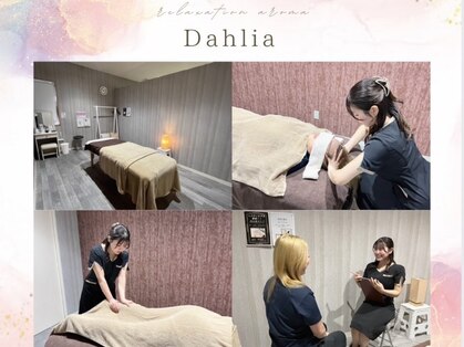 ダリア(Dahlia)の写真