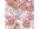 シア ネイル 本店(SIA NAIL)の写真