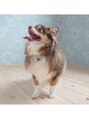 サロン イーエフ 名駅セントラル店(salon EF) 動物が好きで、お家では3匹の犬と1羽のウサギがいます♪