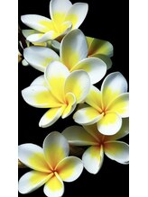 ゼン(Zen)&nbsp;DC ★MIHO★