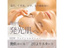 テオナ(TEONA)/【韓国肌】渡韓せずにツヤ肌小顔