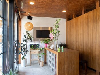 リゾート(Resort)/【受付】