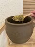 ≪冷え性改善・代謝UP♪≫ダイエットコース発汗よもぎ蒸し40分￥4000→￥3500