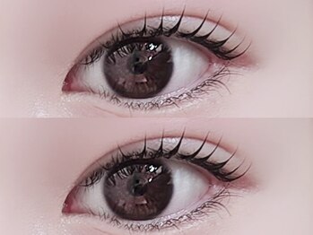 リノ(Lino)/カールデザイン