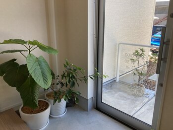 整体家 心/玄関