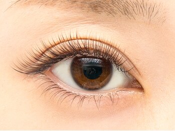 まつげエクステサロン プリューム アイ ビューティー 表参道店(PLUME EYE BEAUTY)/ボリュームラッシュ