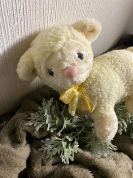 癒し～ぷ 立川店/立川のドライヘッドスパ専門店♪