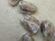 ラテネイル(Latte nail)の写真/[パラジェル/フィルイン]自爪に優しく負担軽減&モチUP♪ネイルによるダメージが気になる方に◎長さだしも*