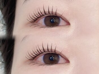 ドールハウスオーム(DOLL HOUSE HOMME)/まつげパーマ