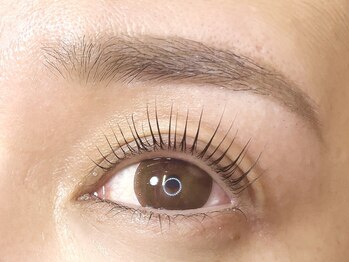 ヴォーレヴ(BEAUreve)の写真/丁寧なカウンセリングでリピート率◎自まつ毛の状態や目の形に合わせた施術でモチ、キープ力共に定評あり♪