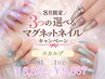 8月限定!3つの選べるマグキャンペーン【スカルプ】リピーター様￥9867