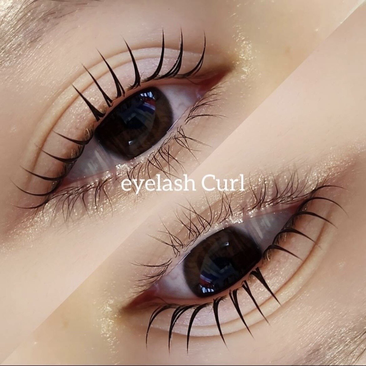 【トレンド束感♪トリートメント仕上げ無料】韓ドル風まつげパーマ(上)￥4400