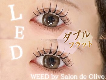 ウィード 橿原店(WEED by サロンドオリーブ)/LEDダブルフラット 100束200本