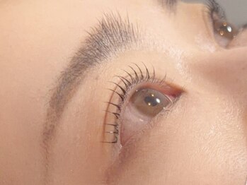 THE LASH【まつげパーマ/LED/フラットラッシュ/マツエク/アイブロウ/眉毛】の写真/【自然体なのに印象的 】な大人デザインをご提案◎自まつ毛を活かした上品な仕上がりで、横顔まで美しく！