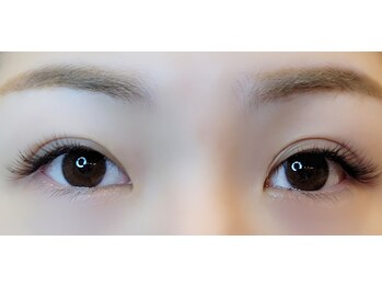 ルピナス(Lupinus)/フラットラッシュ 140本＊