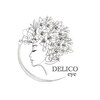 デリコ アイ(DELICO eye)のお店ロゴ