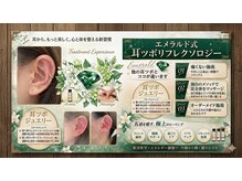 ファミーユ デ グラシュ ネイル(Famille des gracieux nail)の雰囲気（SNSで人気の耳つぼジュエリー♪）