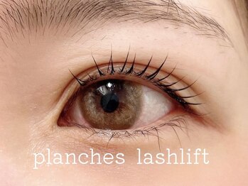 ウィスタリア フィールドプランシュ(WISTARIA FIELD-PLANCHES)/ナチュラル仕上がり♪