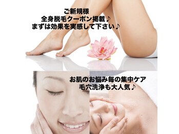 ネイル スプラウト(Nail Sprout)